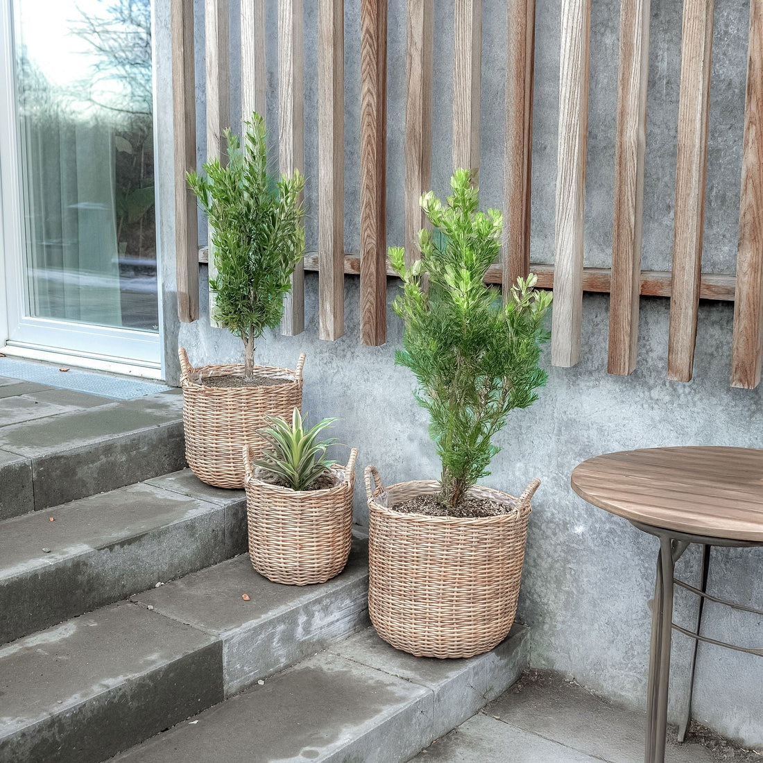 Rattan plantekurve i natur - 3 stk