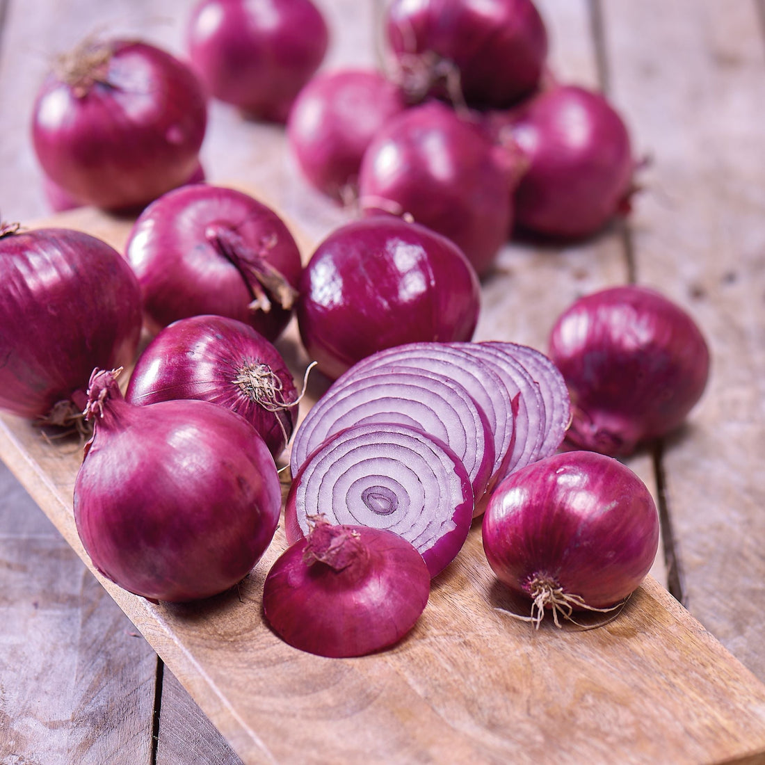 Sättlök, Allium 'Red Winter'