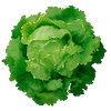 Grönsaksfröer