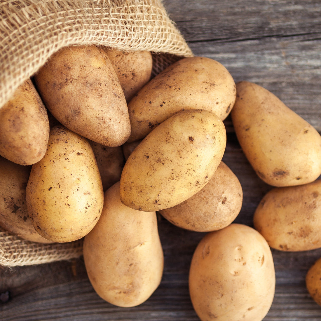 Sättpotatis 'Annabelle'