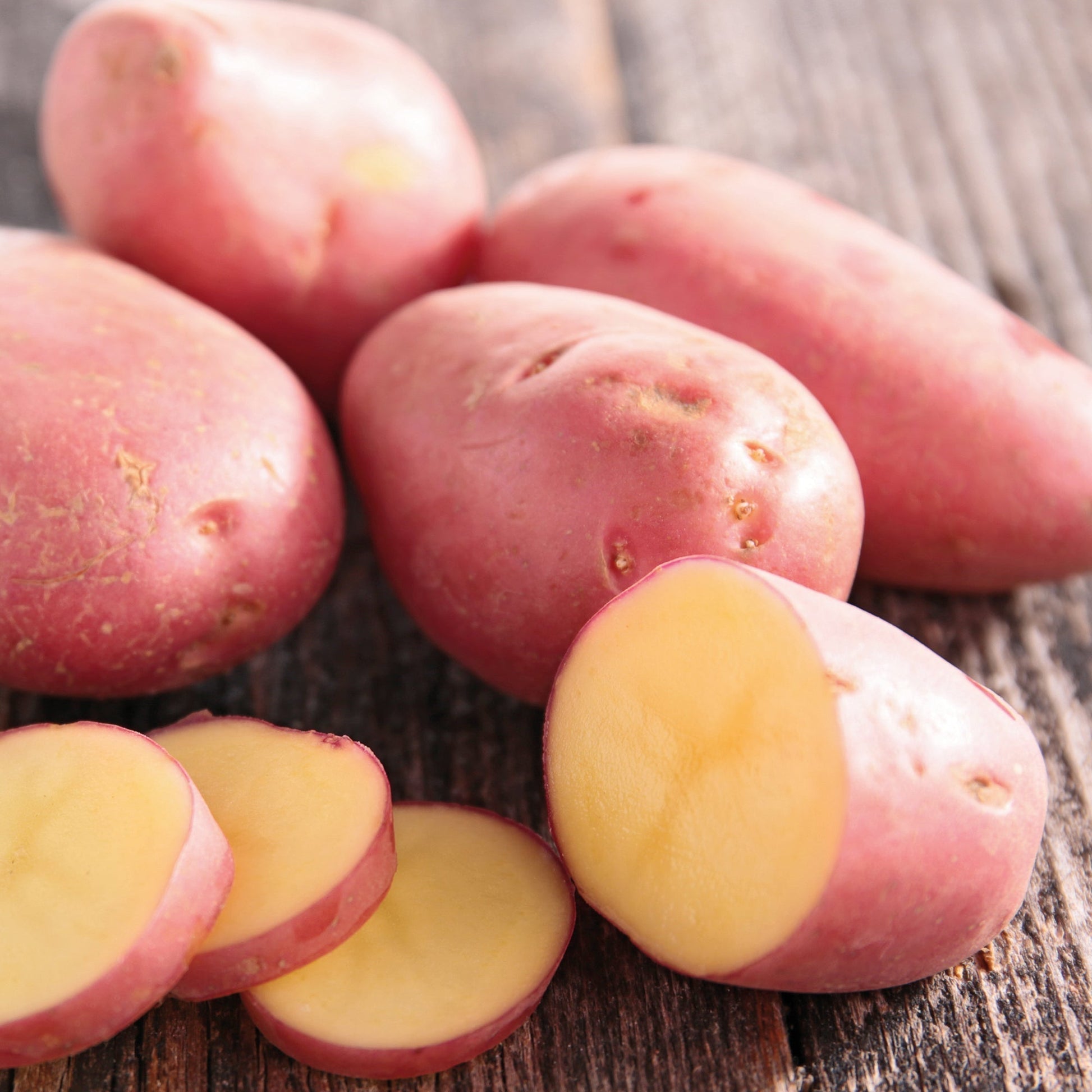 Sättpotatis 'Laura'