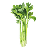 Grönsaksfröer