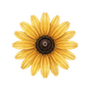 Blomfröer