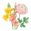Sommarblommor