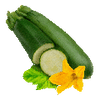 Grönsaksfröer