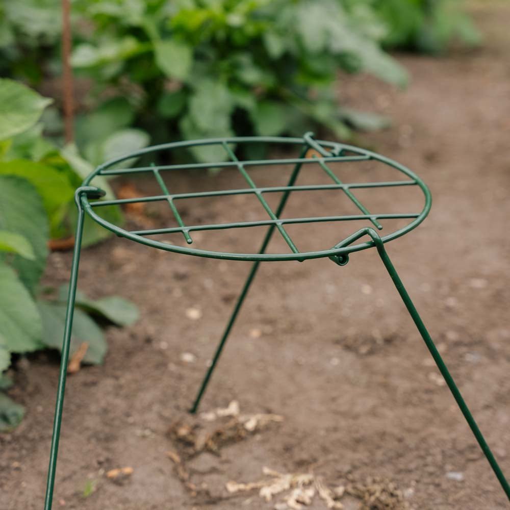 Stödnät för växter, B: 30 cm H: 45 cm