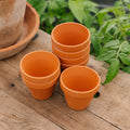 Terracottapotter 7/8 cm, 7 stk.