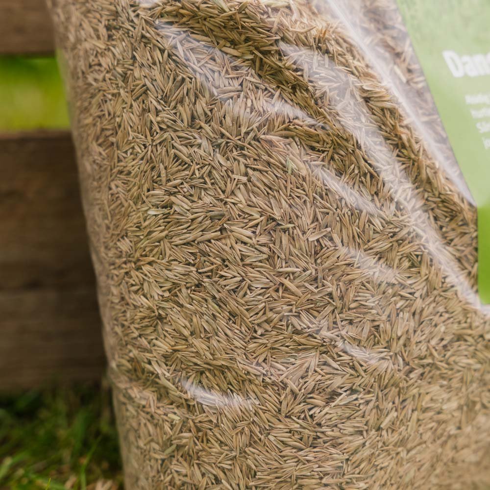 Turfline Dansk Gräsmatta, 1,8 kg (60 m²)
